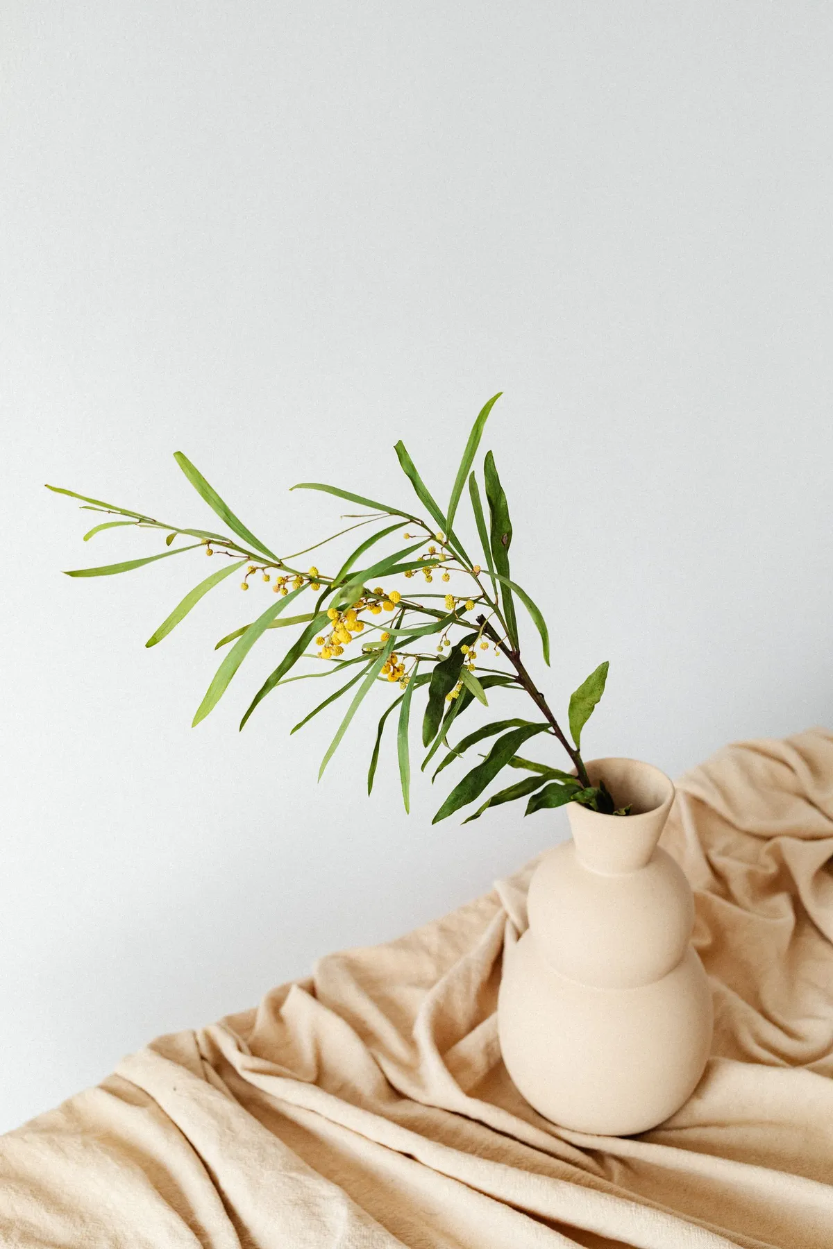 Sculptural ceramic vase with a green branch on linen; illustrative product photography